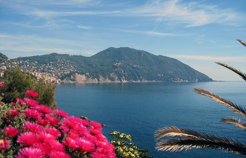 Hotel Elena Recco Exterior photo